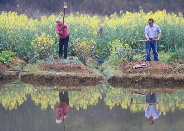 Spring Ploughing Underway in Ma